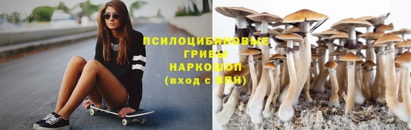 таблы Осташков