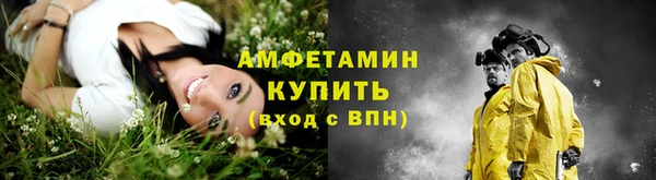амф Осинники