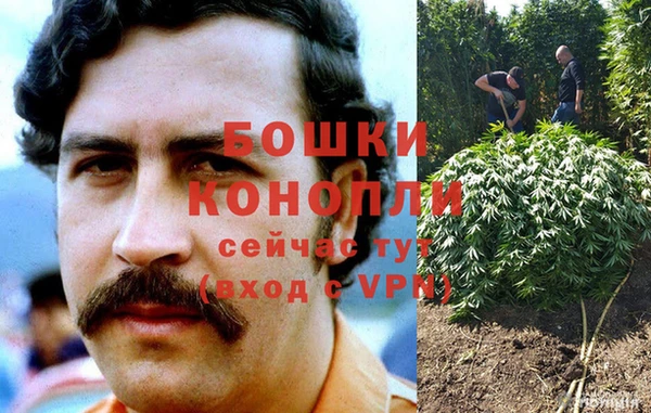 мяу мяу мука Нягань