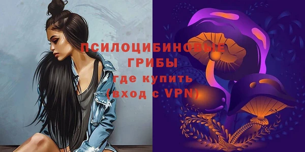 мдпв Коряжма