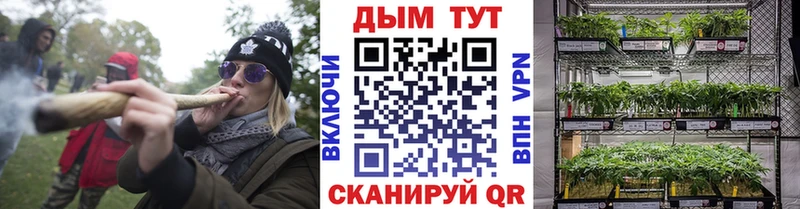 Канабис OG Kush  Котельниково 